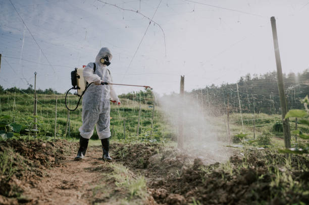 Best Pest Control Cost  in Ringwood, NJ