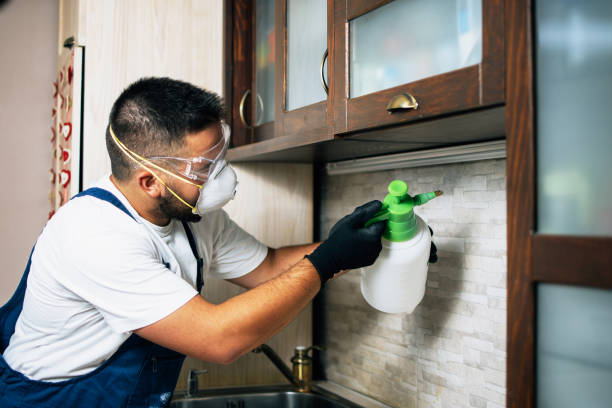 Best Best Pest Control Companies  in Ringwood, NJ