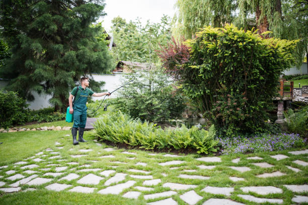 Best Pest Control for Homes  in Ringwood, NJ