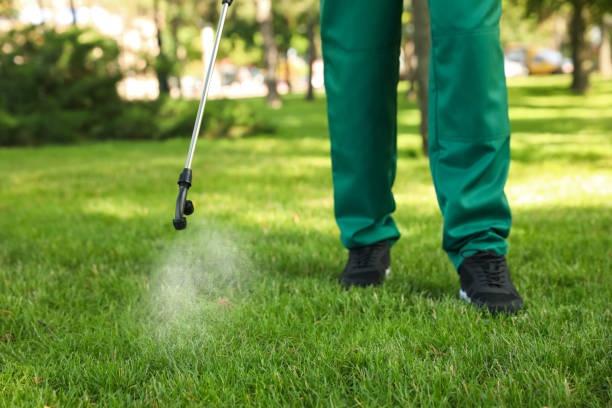 Best Commercial Pest Control Services  in Ringwood, NJ