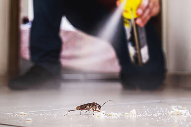 Best Pest Removal Services  in Ringwood, NJ