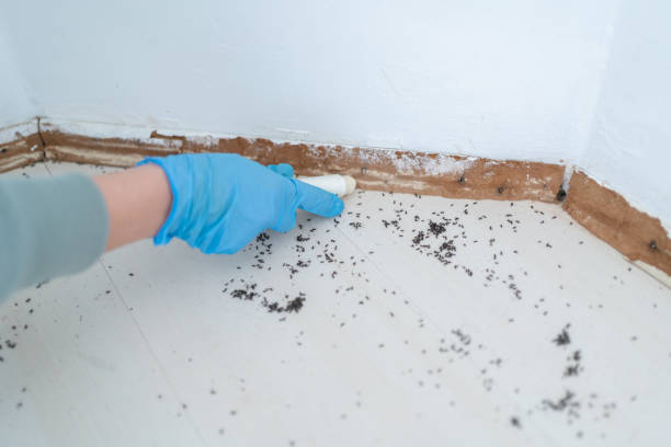 Bird Control in Ringwood, NJ