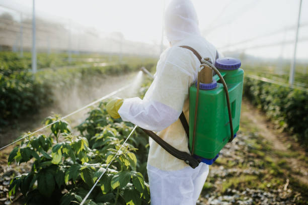 Best Exterminator Services  in Ringwood, NJ